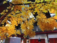 -老灶房-四川土菜(铁牛广场店)