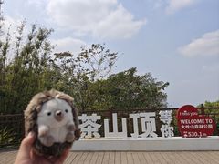 -东莞市大岭山森林公园