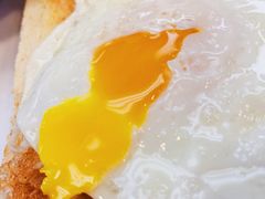 -澳洲牛奶公司(佐敦店)