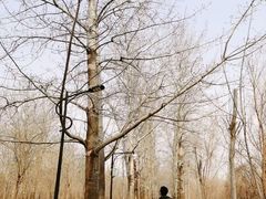 -廊坊市自然公园