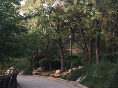 -贮水山儿童公园
