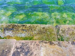 -石岛赤山风景区