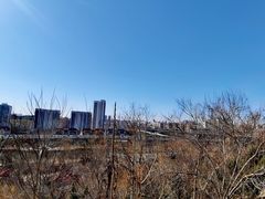 -南翠屏公园