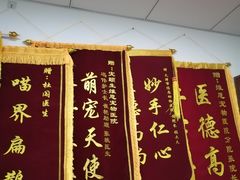 -美联众合动物医院(唯恩分院)