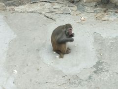 -保定市动物园