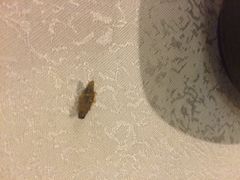 -维吾尔餐厅(宜山路店)