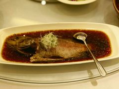 清蒸海青斑-宝燕海鲜(好爱店)
