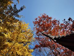 -宝岩生态观光园