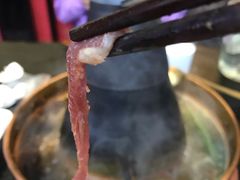 -铜来聚老北京涮肉(恒隆广场店)