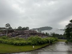 -广州白江湖森林公园