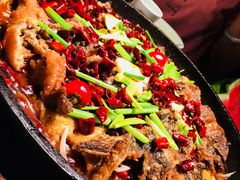 -老板恋上鱼(高新万达店)