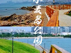 -小麦岛公园