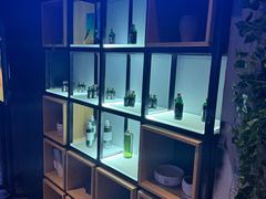 -避尘 Bsense·SPA(新会展总店)