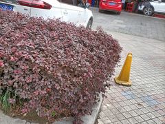 -途虎养车工场店(重庆黄泥磅店)