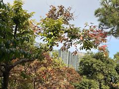 -九龙公园