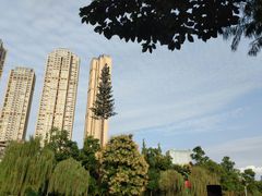 -成都市活水公园