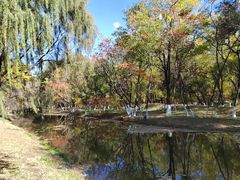 -长白岛森林公园