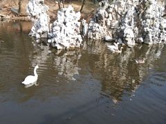 -合肥野生动物园