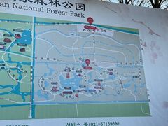 -上海海湾国家森林公园