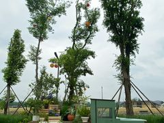 -中国天府农业博览园