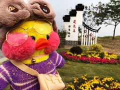 -七的湖·晚芳亭·阳澄湖农家菜·大闸蟹(莲花岛店)