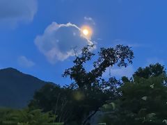 -石台牯牛降景区