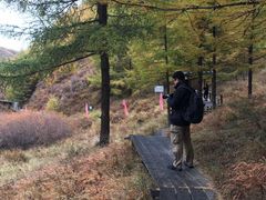 -苏木山森林公园