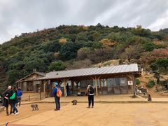-岚山猴子公园