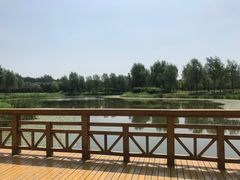 -东郊湿地公园