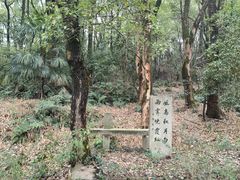 -石峰公园