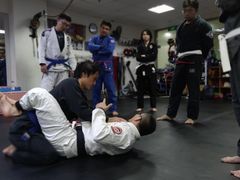 -金翼跆拳道巴西柔术拳击格斗学院