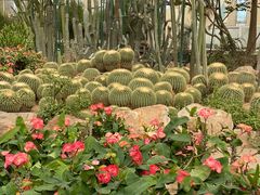 -石家庄市植物园