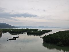-盐洲岛