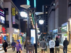 -宝健路步行街(Pedestrian Shopping Street)