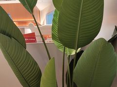 -菲滋意式餐厅(富阳东方茂店)