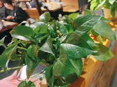 -管氏翅吧(甘家口店)