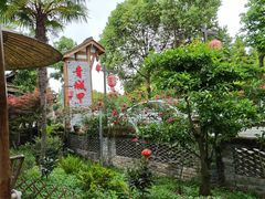 -青城甲(青城山店)
