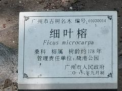 -晓港公园