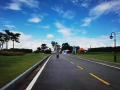 -芒洲湿地公园
