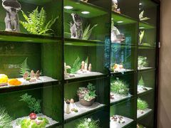 -慢丽江·云南野生菌土鸡锅(西山店)