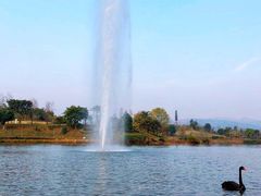 -星湖特色餐厅· 三岔湖环球融创天堂洲际酒店