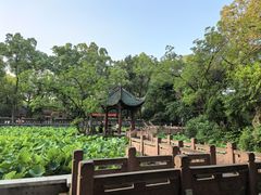 -房湖公园