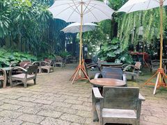 -Fern Forest Cafe