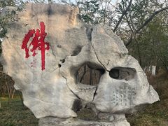 -千佛山风景名胜区