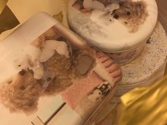 -珍妮曲奇聪明小熊(尖沙咀店)