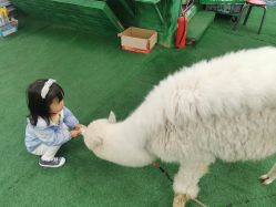 -萌宠亲子动物乐园(槐房万达店)