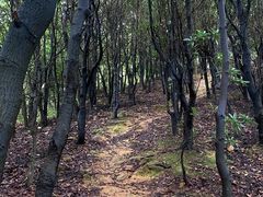 -飞霞风景名胜区