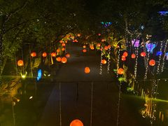 -横店影视城梦幻谷园区