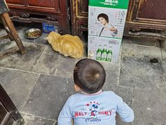 -吾介小籠館