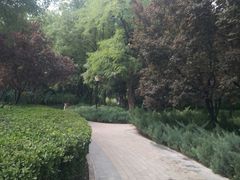 -玲珑塔公园